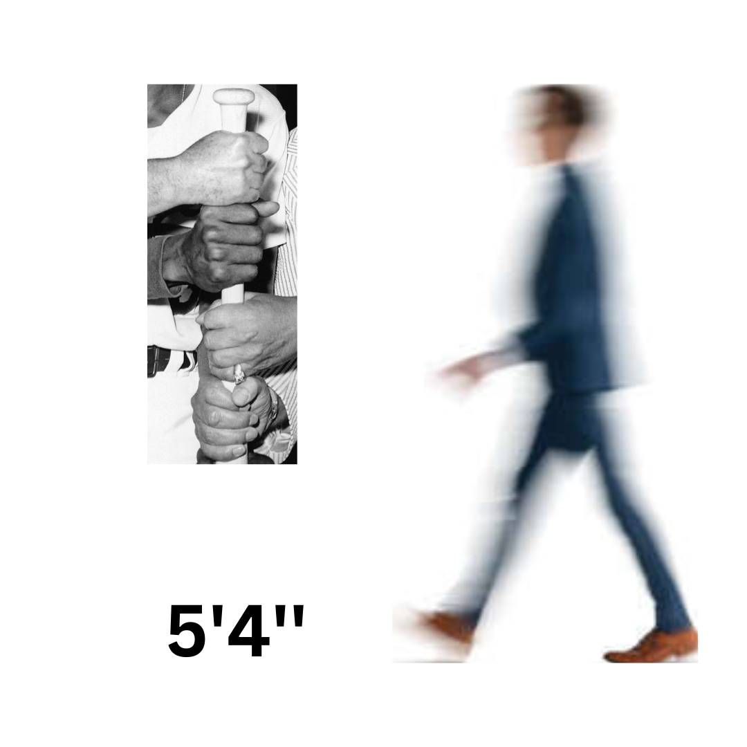 Four Hands and a Baseball Bat
