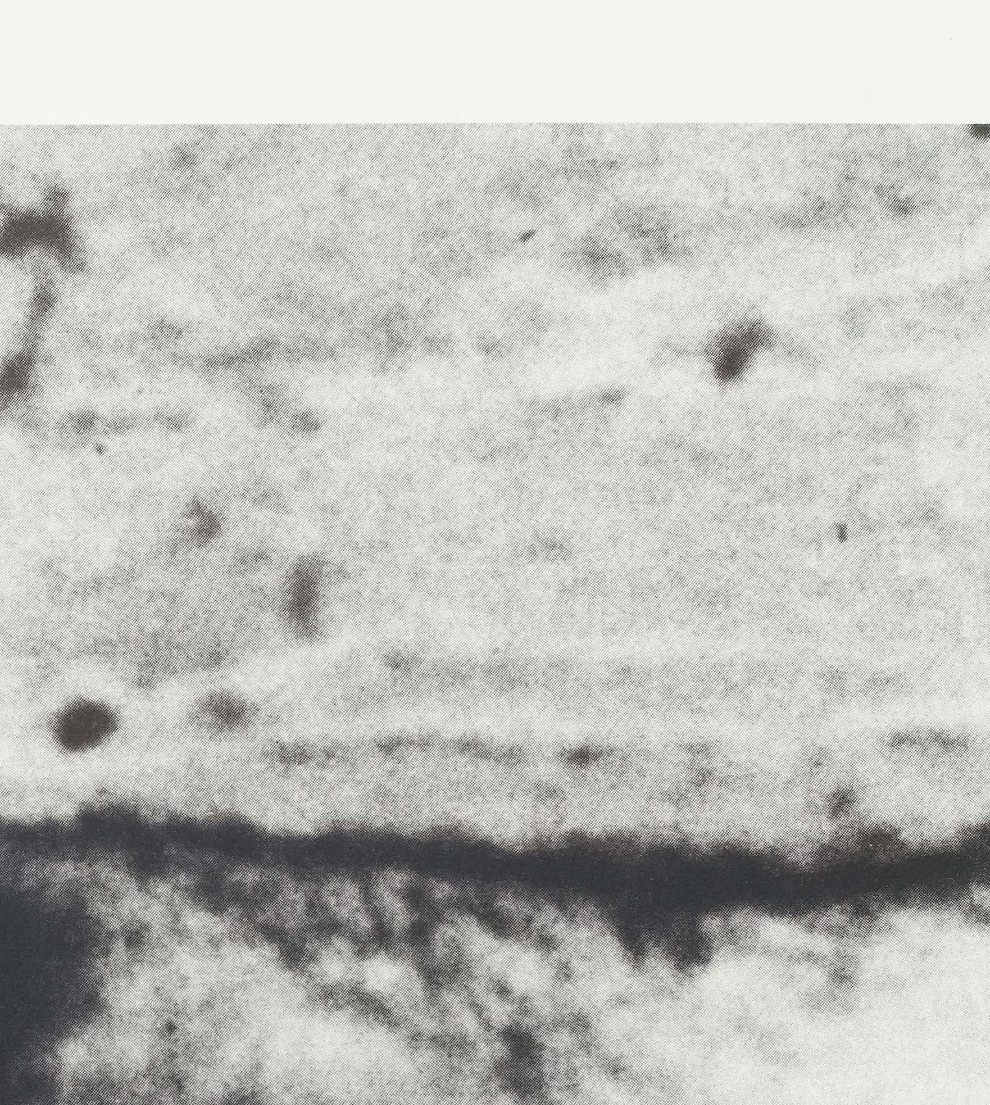 Still from "Hand Catching Lead"