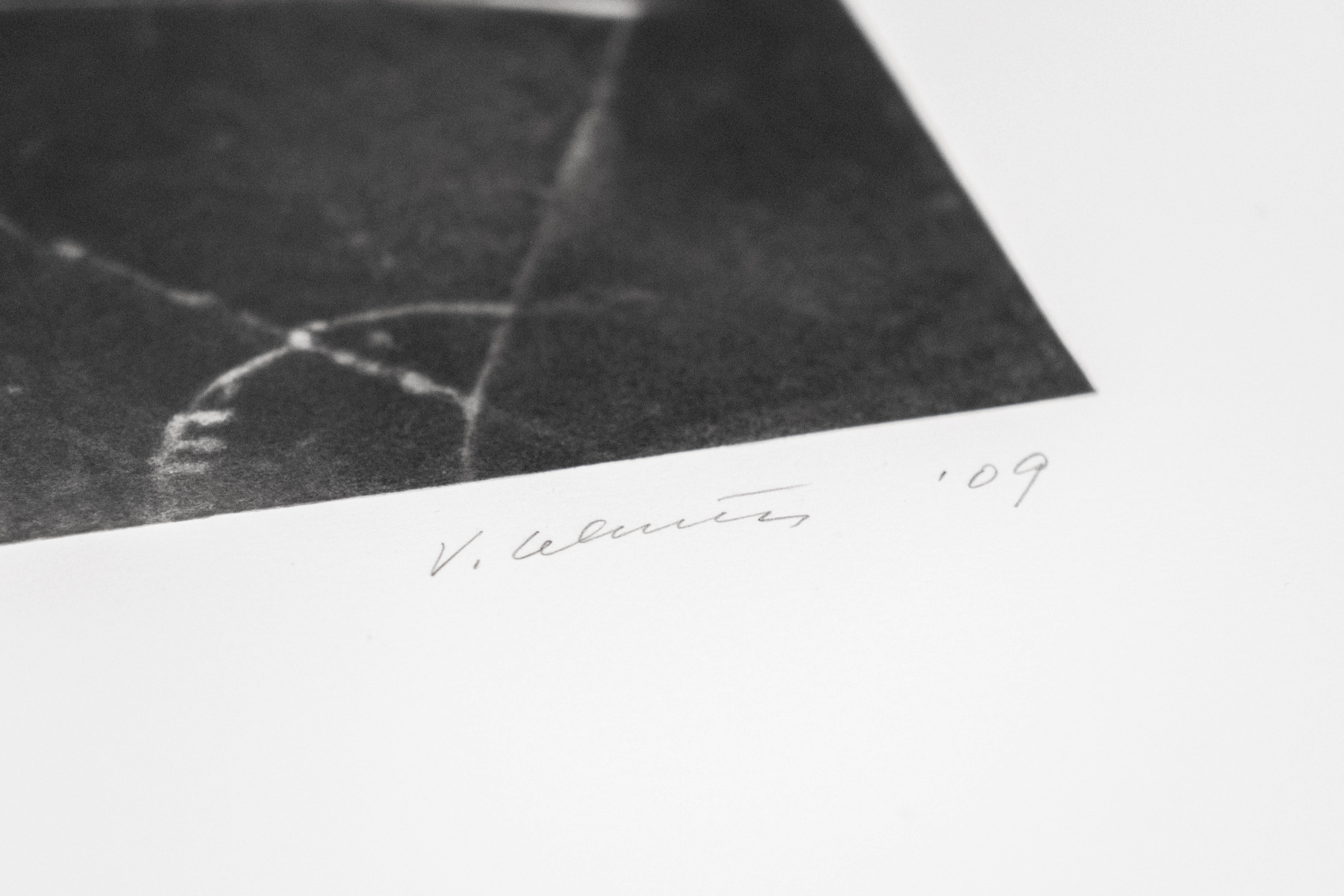 Spider Web - Lincoln Center Editions