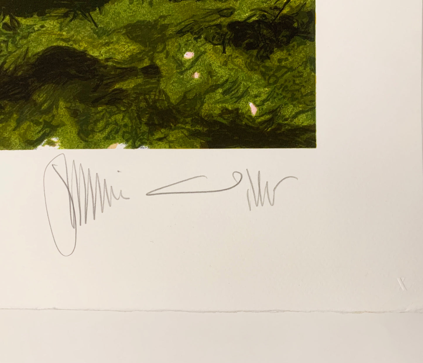 Photo of Jamie Wyeth’s signature on the bottom right of the artwork.