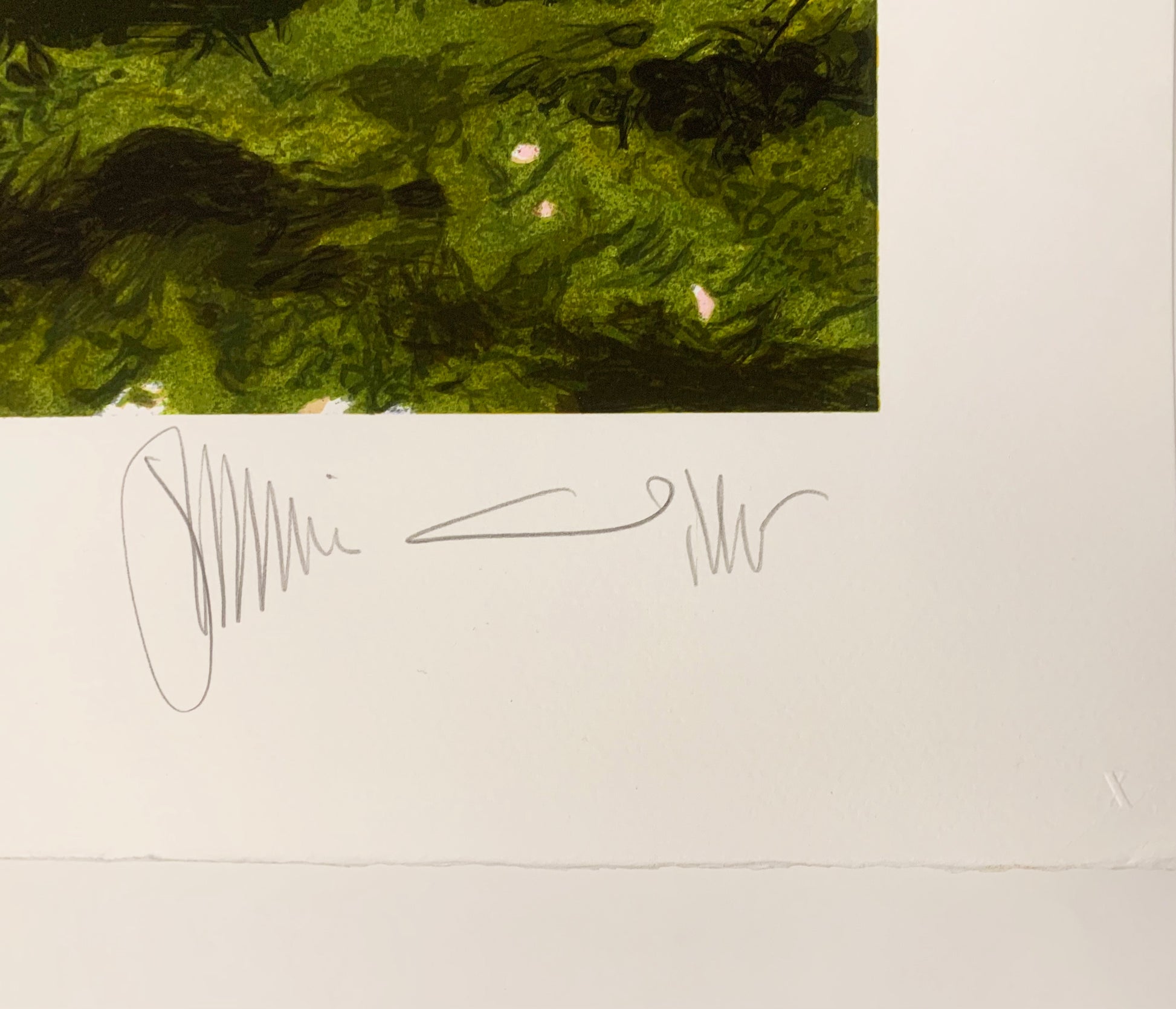 Photo of Jamie Wyeth’s signature on the bottom right of the artwork.