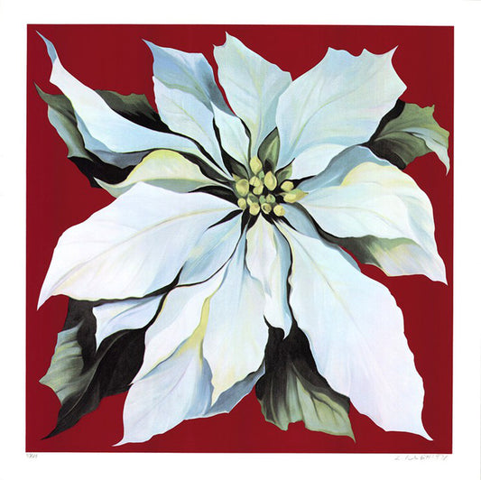 “Untitled” by Lowell Nesbitt, captivating still life in the realism style, featuring a detailed white poinsettia set against a rich red background. The botanical elements are rendered with impressionistic finesse, blending naturalistic and abstract qualities. 