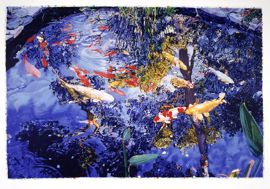 “Pond” by Joseph Raffel, Vibrant print depicting a serene koi pond. It showcases a group of colorful red yellow, and white koi fish swimming amidst lush greenery. The sky reflects on the water's surface.  